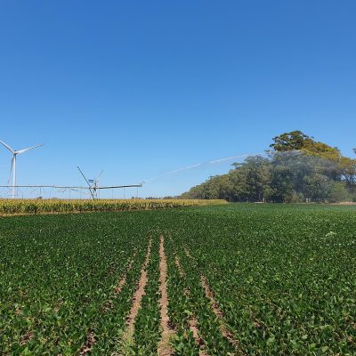 2 ASIEM AGRO Uruguay siembra