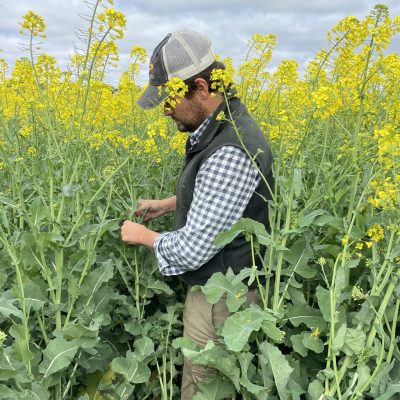 ASIEM AGRO Uruguay empresa Gonzalo Sciarra