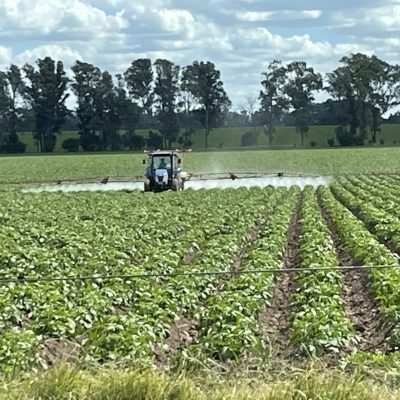 ASIEM AGRO Uruguay empresa maquinaria